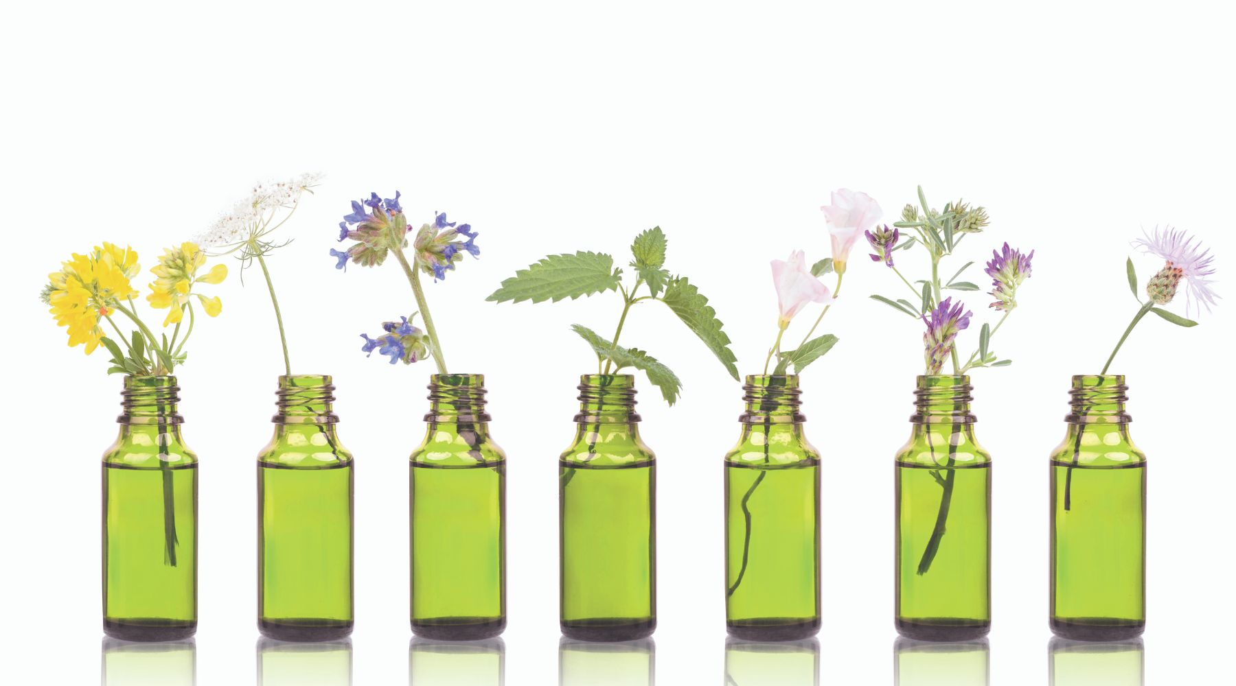 essential oil recipes for grounding, calming and strength