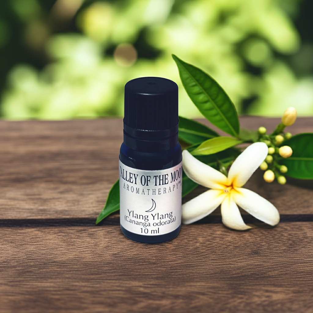 Ylang Ylang Extra Essential Oil Certified Organic