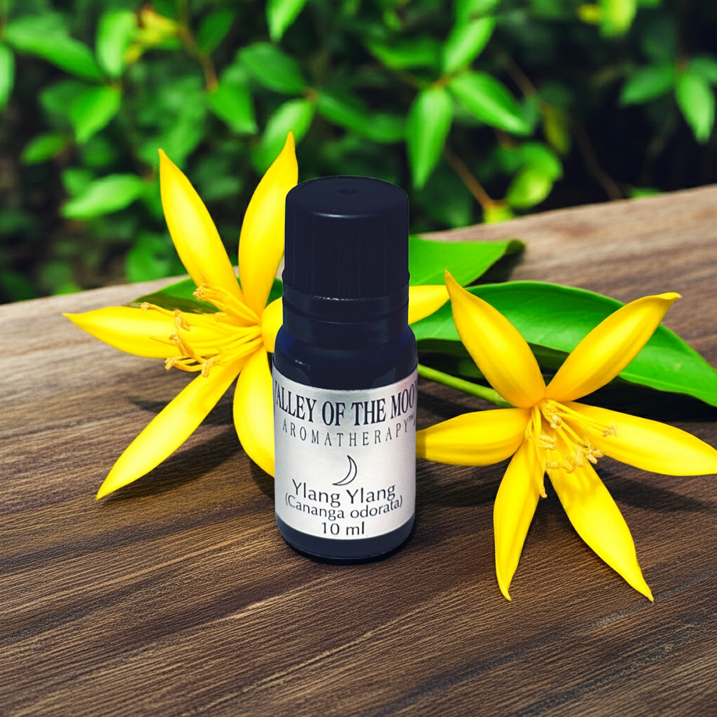 Ylang Ylang Extra Essential Oil Certified Organic