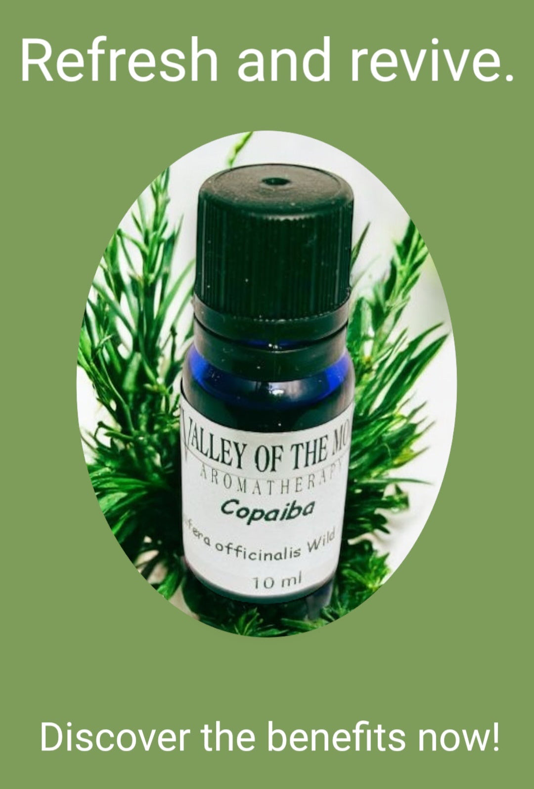 Valley of the Moon Copaiba essential oil bottle with green leaves on a green background