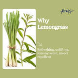 Lemongrass-essential-oil