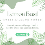 Lemon Basil aromatherapy oil