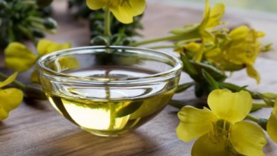 evening primrose cold pressed oil