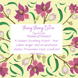 ylang-ylang-extra-organic-essential-oil