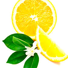 Beyond Lemon Essential Oil Blend