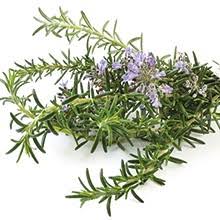 Rosemary Verbenon  Essential Oil