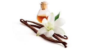 Vanilla pods, flower and amber liquid in corked flask